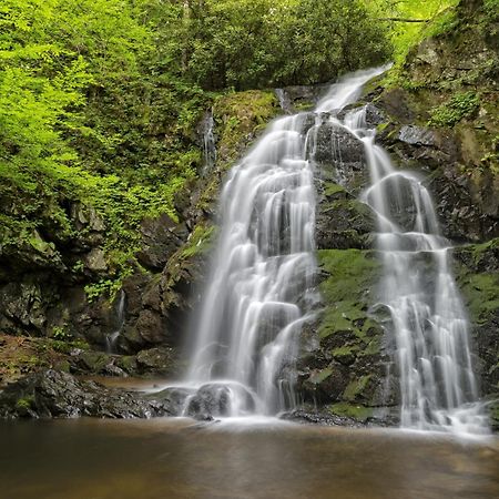 Four Bears Den, Hot Tub, 1089 Of Free Attraction Tickets For Each Paid Day, Dollywood And More Gatlinburg Zewnętrze zdjęcie