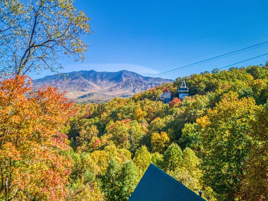 Four Bears Den, Hot Tub, 1089 Of Free Attraction Tickets For Each Paid Day, Dollywood And More Gatlinburg Zewnętrze zdjęcie