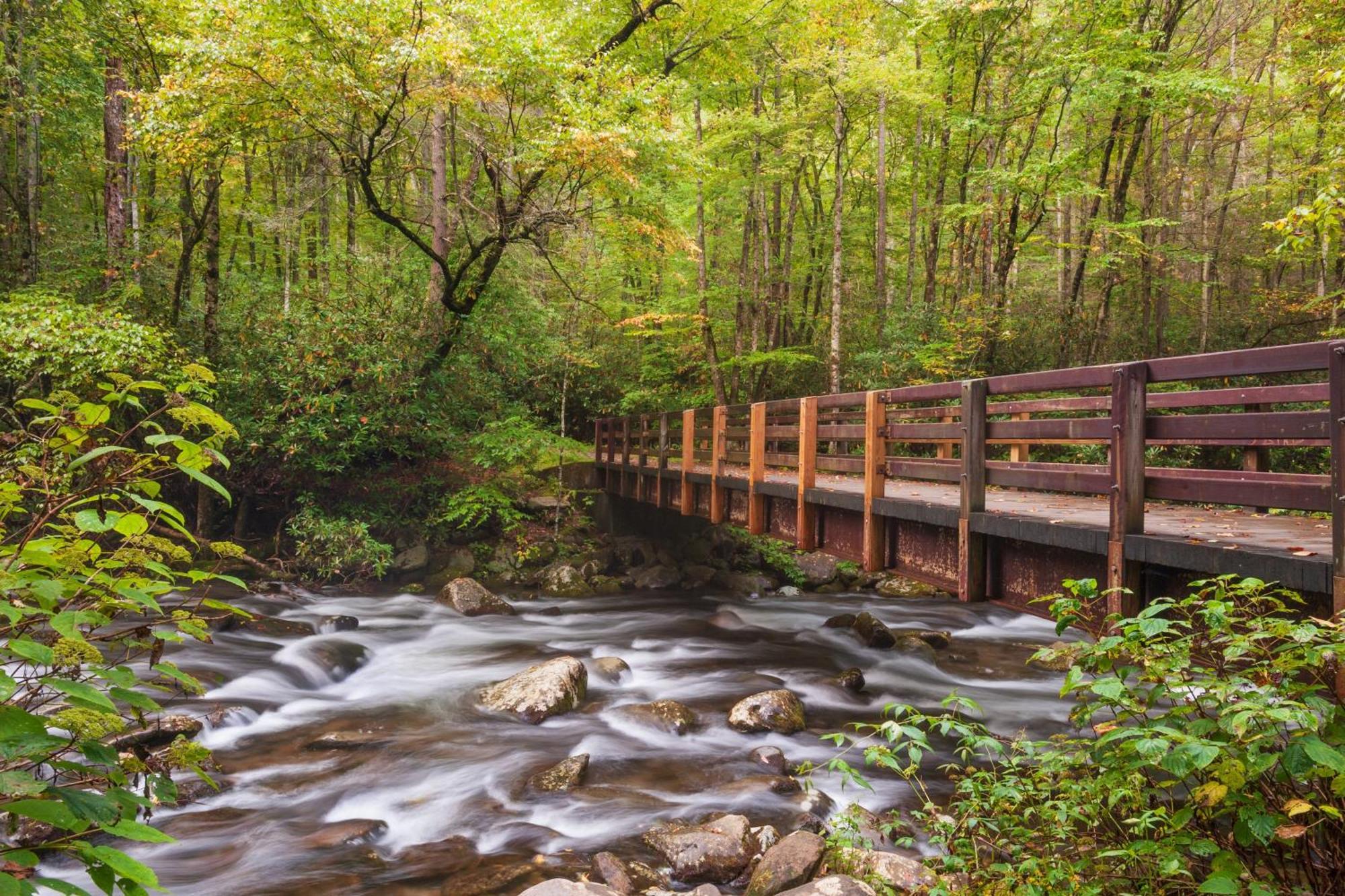 Four Bears Den, Hot Tub, 1089 Of Free Attraction Tickets For Each Paid Day, Dollywood And More Gatlinburg Zewnętrze zdjęcie