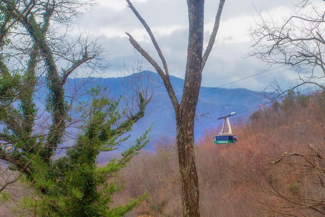 Four Bears Den, Hot Tub, 1089 Of Free Attraction Tickets For Each Paid Day, Dollywood And More Gatlinburg Zewnętrze zdjęcie